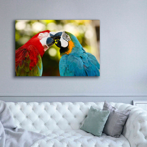 Image of 'The Kiss' by Mike Jones, Giclee Canvas Wall Art,60 x 40