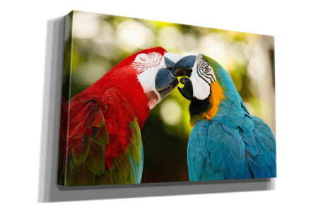 'The Kiss' by Mike Jones, Giclee Canvas Wall Art