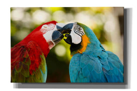 'The Kiss' by Mike Jones, Giclee Canvas Wall Art