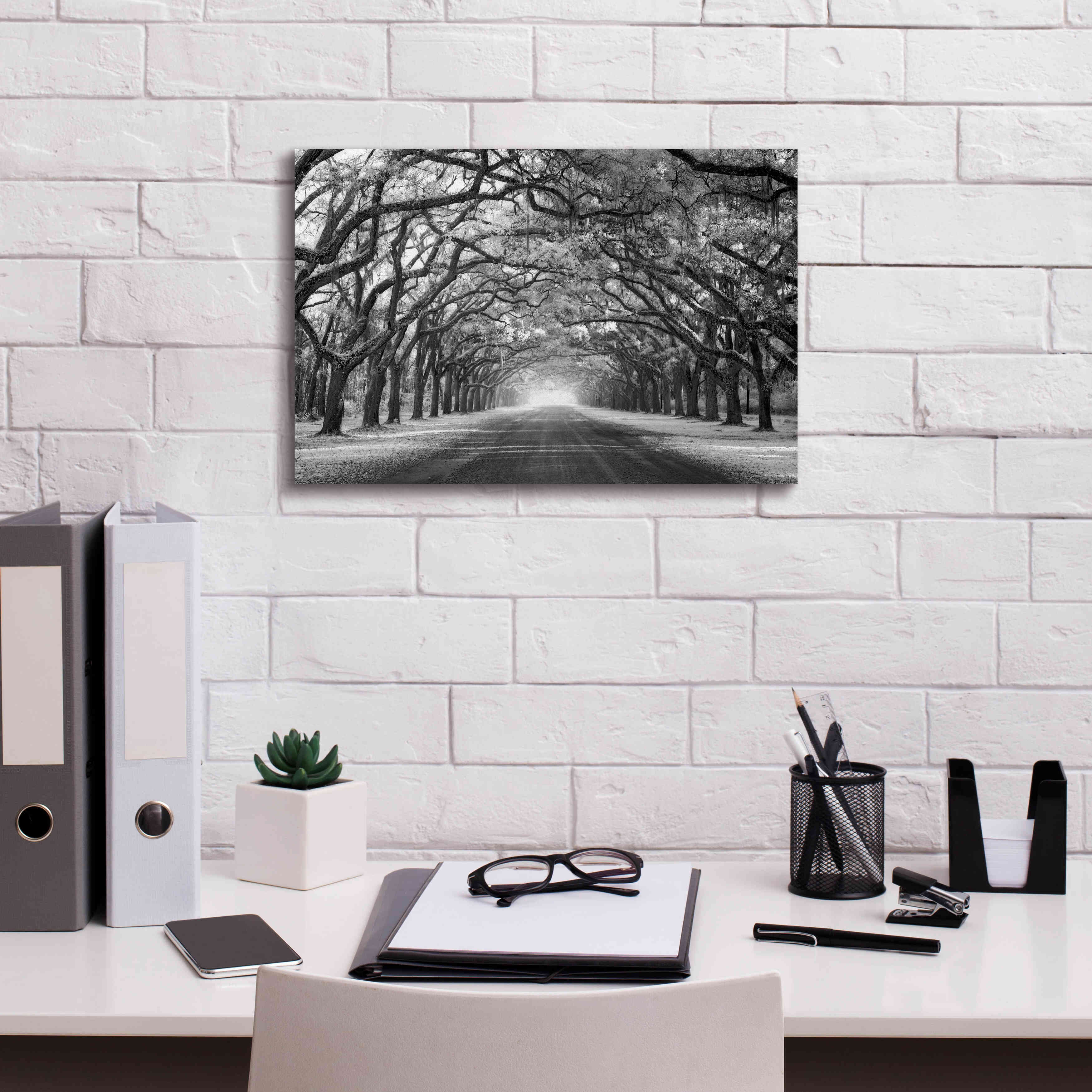 'Wormsloe Inf Light' by Mike Jones, Giclee Canvas Wall Art,18 x 12