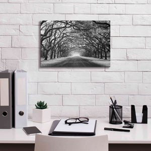 'Wormsloe Inf Light' by Mike Jones, Giclee Canvas Wall Art,18 x 12