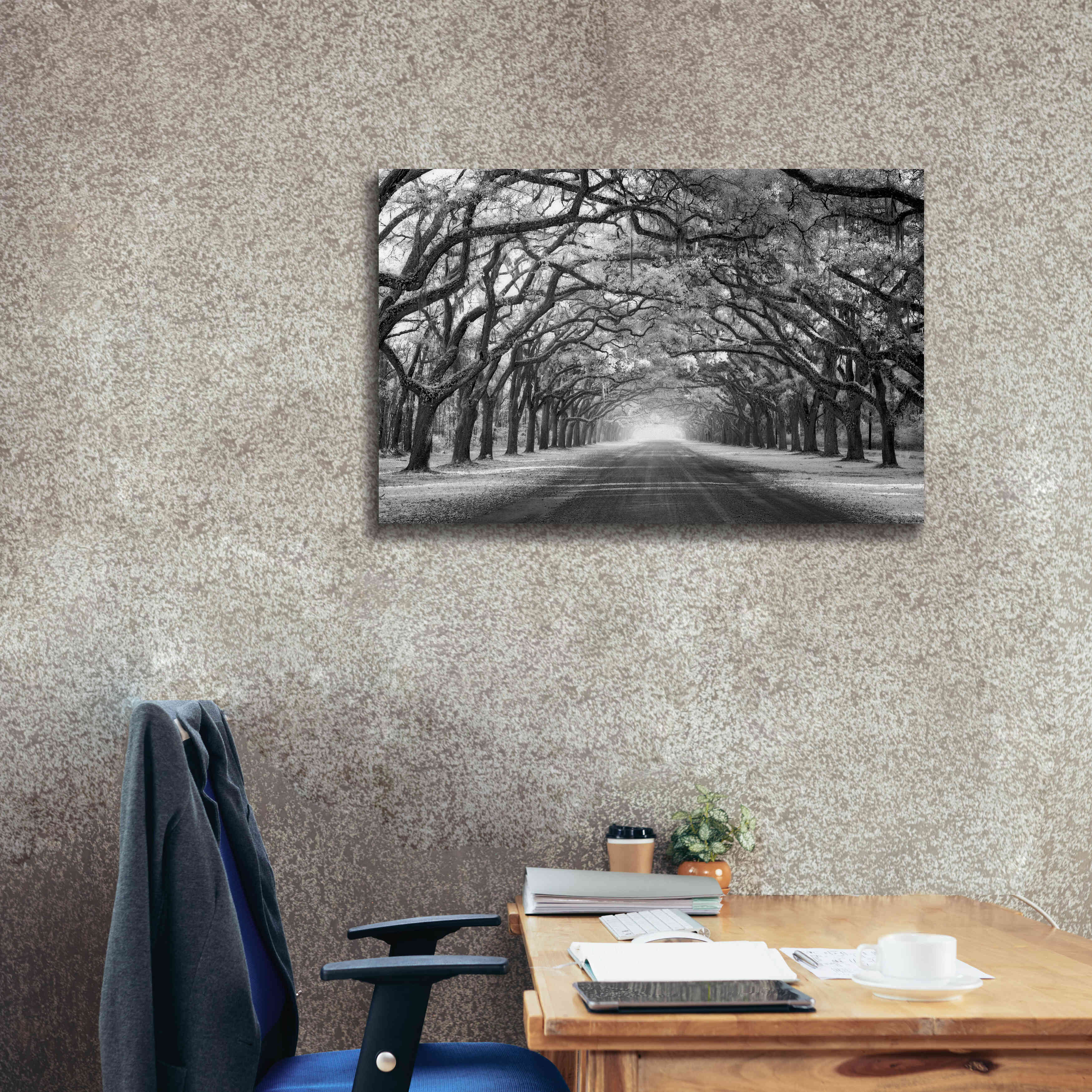 'Wormsloe Inf Light' by Mike Jones, Giclee Canvas Wall Art,40 x 26