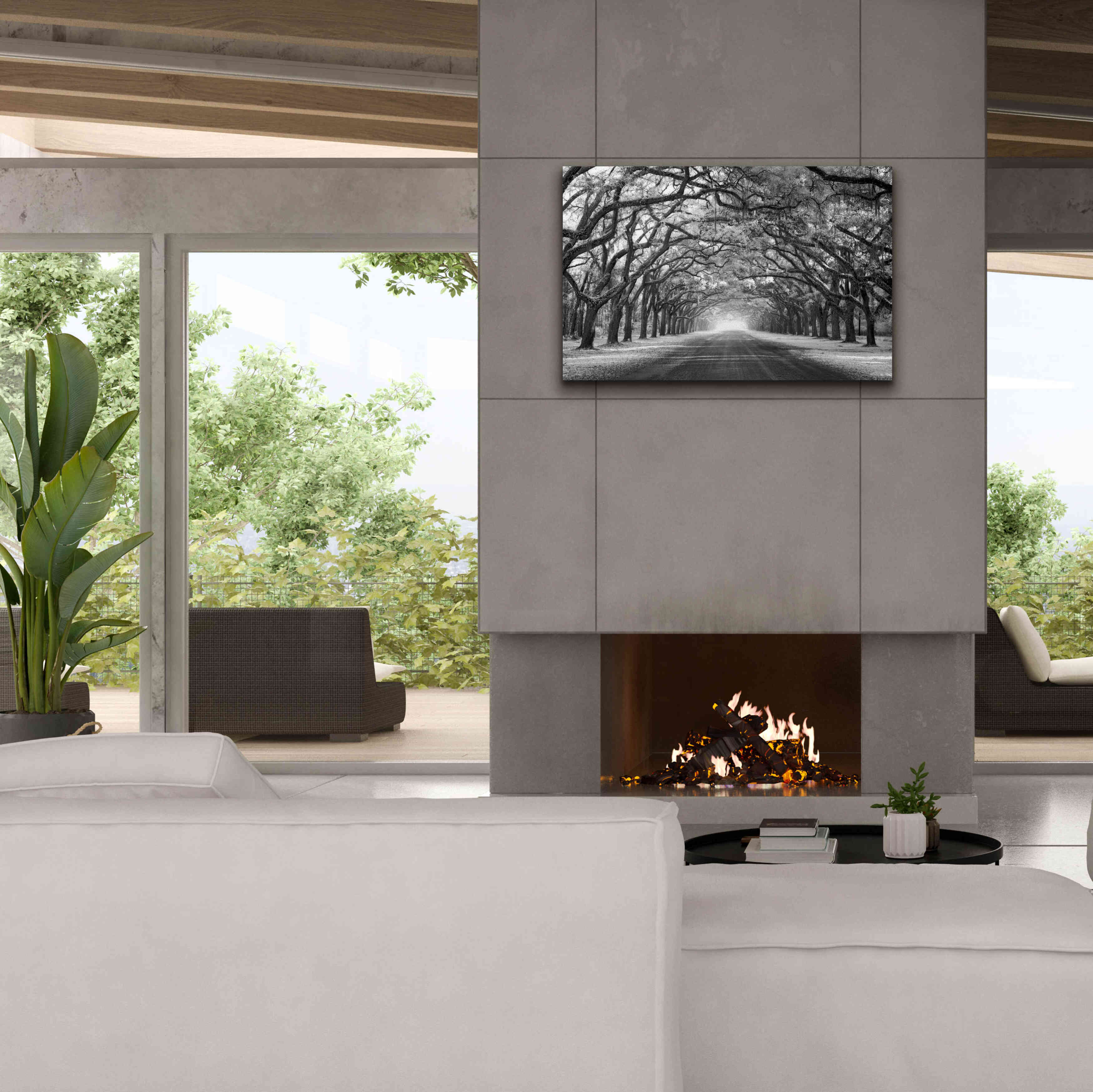 'Wormsloe Inf Light' by Mike Jones, Giclee Canvas Wall Art,40 x 26