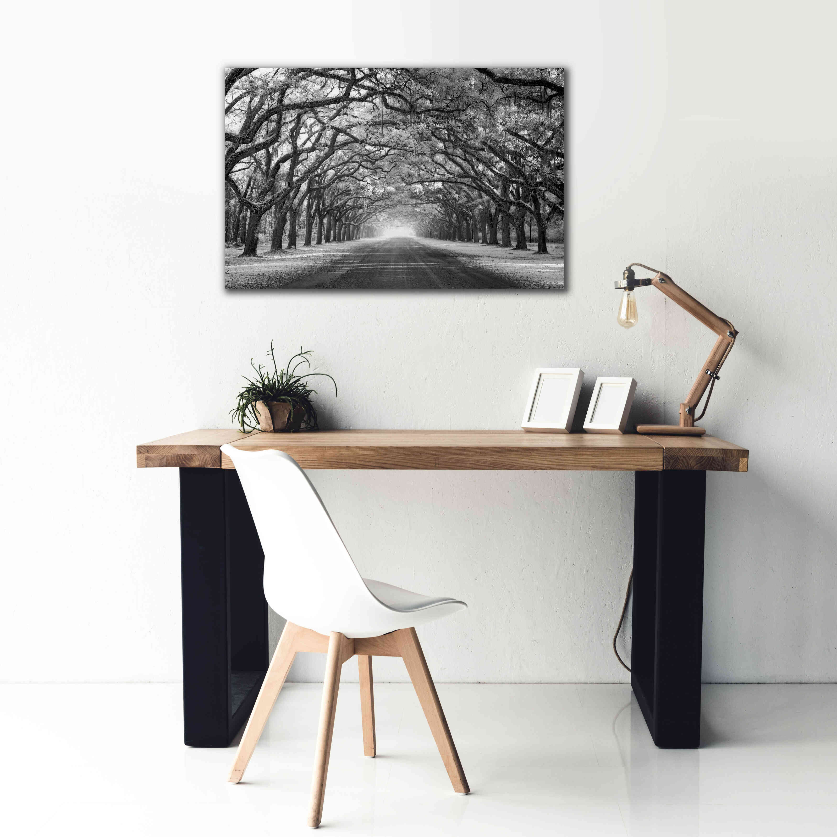 'Wormsloe Inf Light' by Mike Jones, Giclee Canvas Wall Art,40 x 26