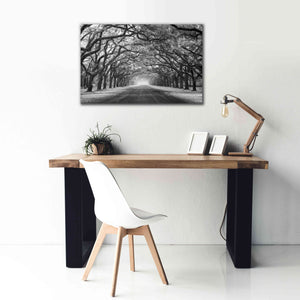 'Wormsloe Inf Light' by Mike Jones, Giclee Canvas Wall Art,40 x 26