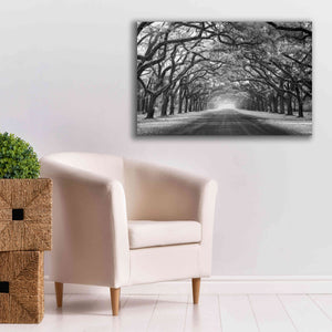 'Wormsloe Inf Light' by Mike Jones, Giclee Canvas Wall Art,40 x 26