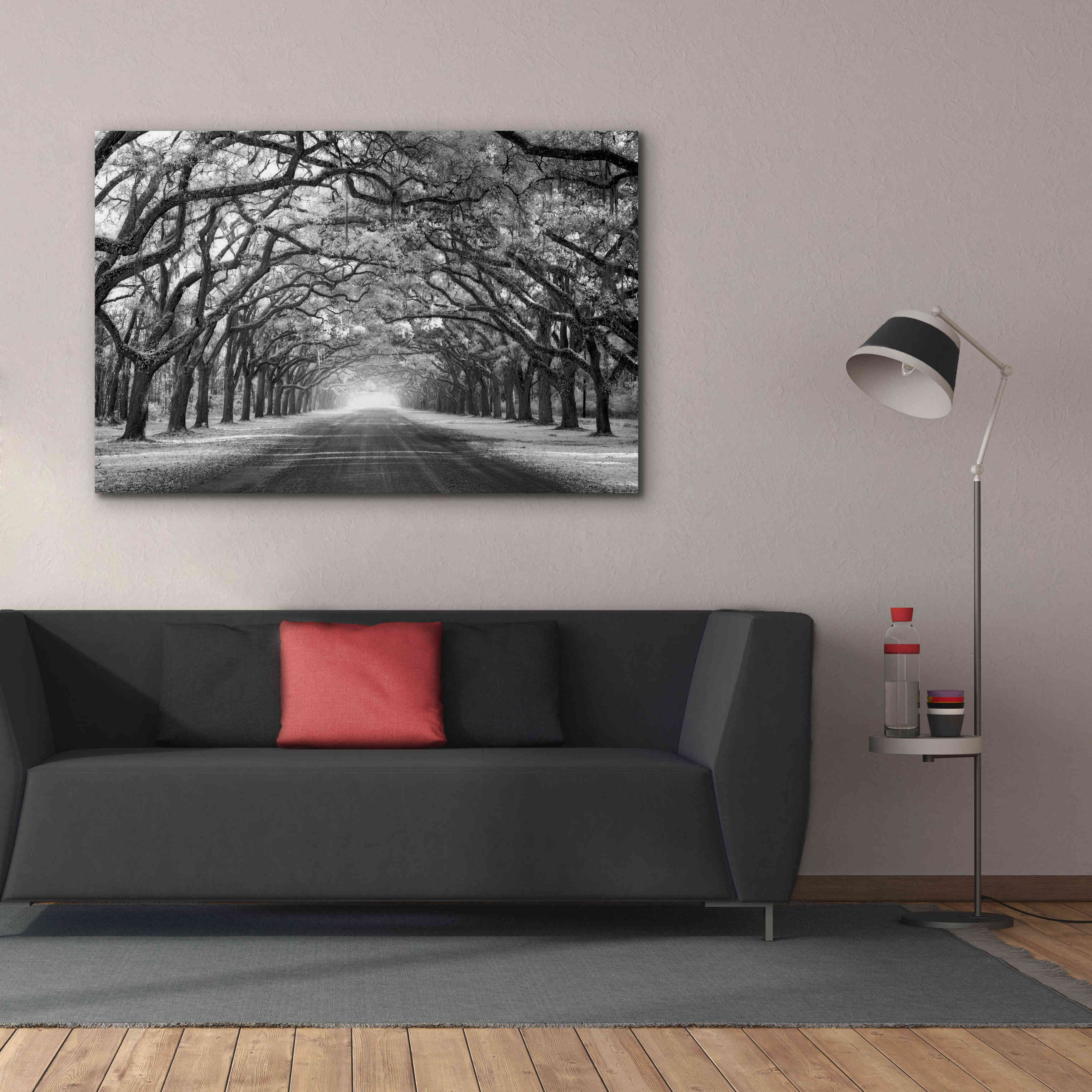 'Wormsloe Inf Light' by Mike Jones, Giclee Canvas Wall Art,60 x 40