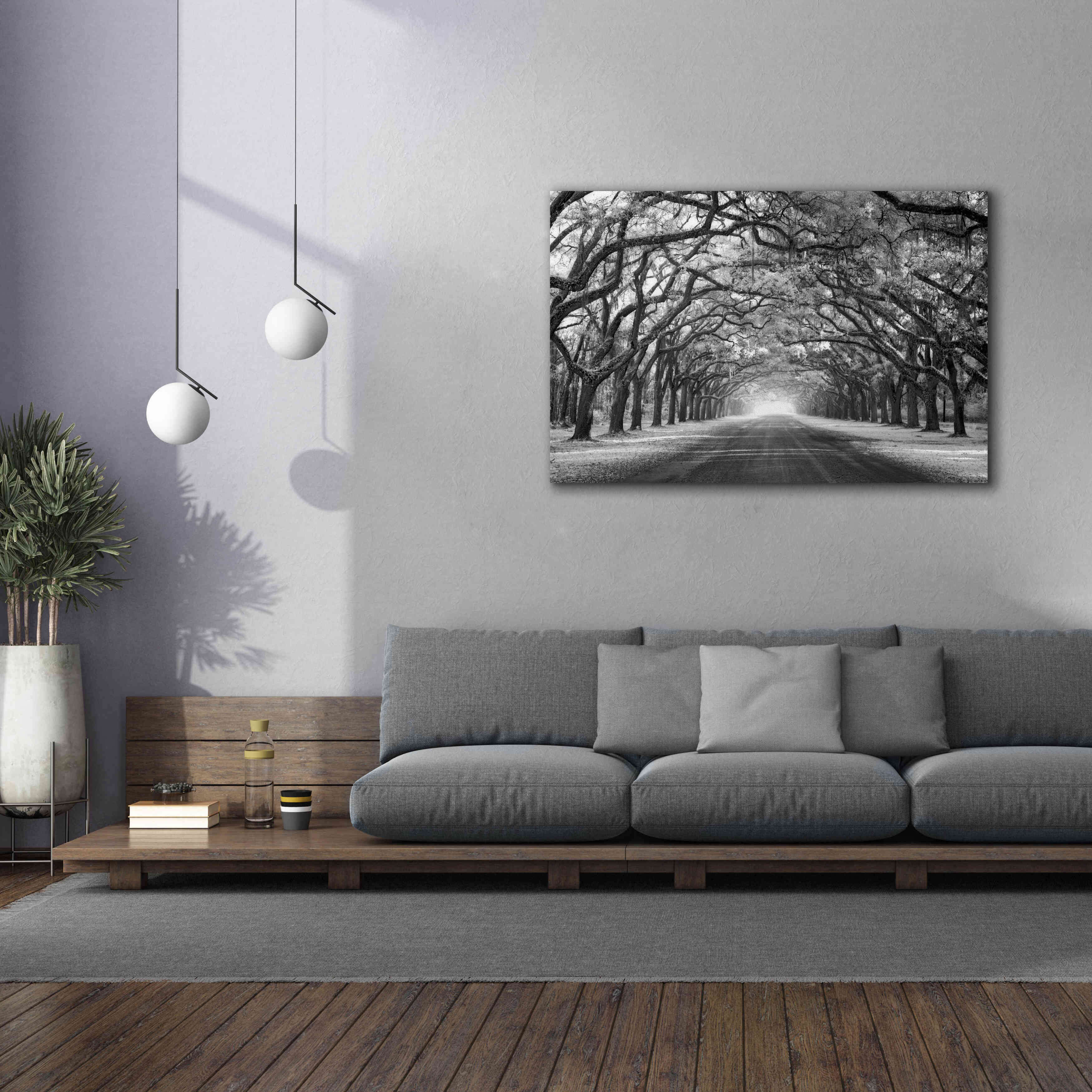 'Wormsloe Inf Light' by Mike Jones, Giclee Canvas Wall Art,60 x 40