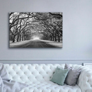 'Wormsloe Inf Light' by Mike Jones, Giclee Canvas Wall Art,60 x 40