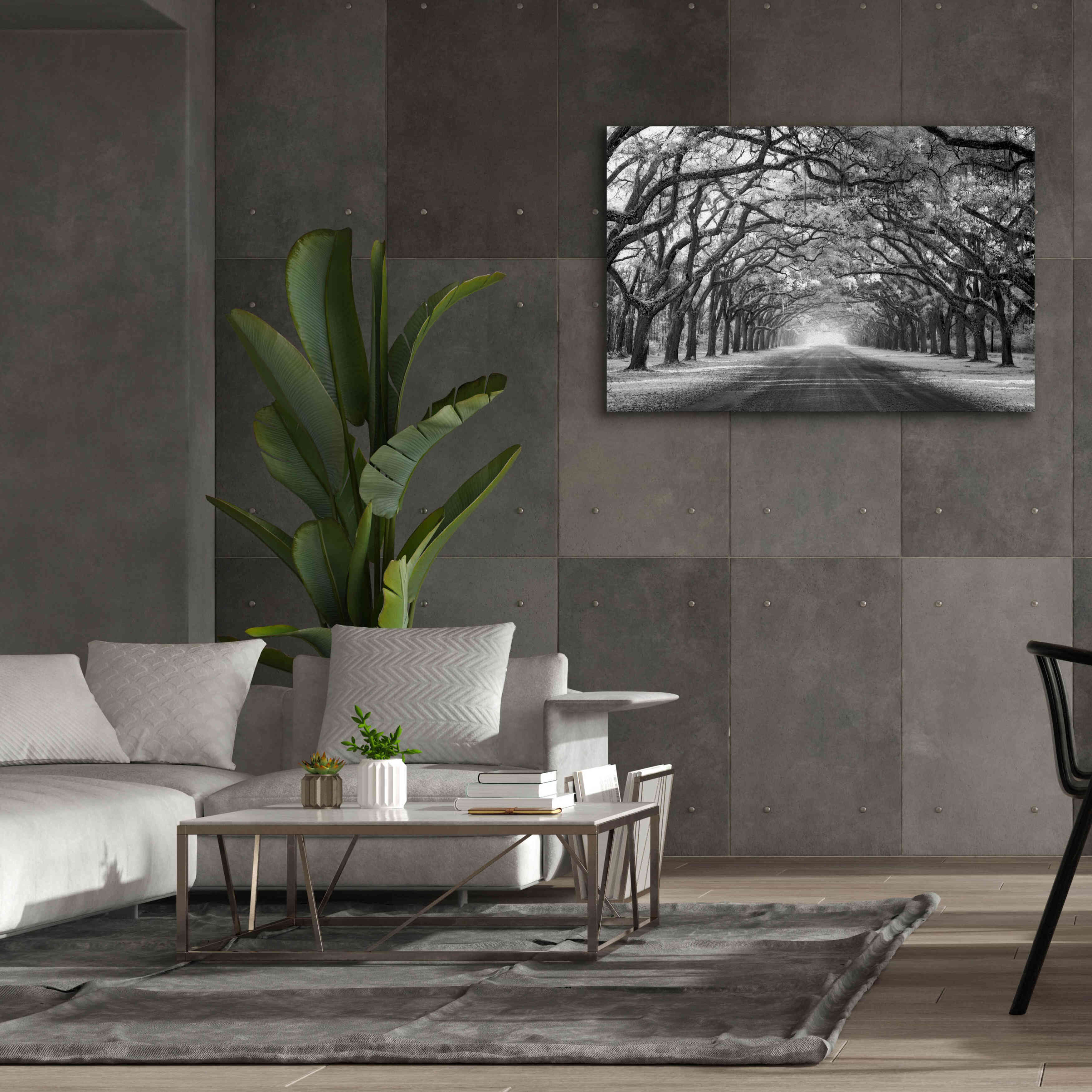 'Wormsloe Inf Light' by Mike Jones, Giclee Canvas Wall Art,60 x 40