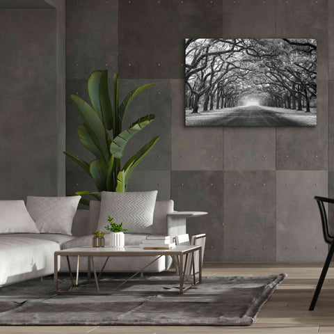 Image of 'Wormsloe Inf Light' by Mike Jones, Giclee Canvas Wall Art,60 x 40