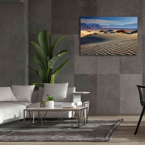 'Death Valley Mesquite Dunes' by Mike Jones, Giclee Canvas Wall Art,60 x 40
