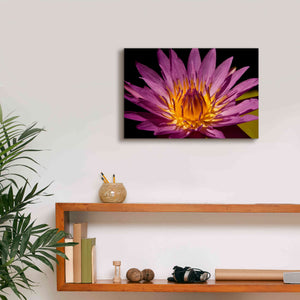'Fairchild Gardens Lily' by Mike Jones, Giclee Canvas Wall Art,18 x 12