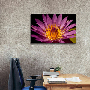 'Fairchild Gardens Lily' by Mike Jones, Giclee Canvas Wall Art,40 x 26