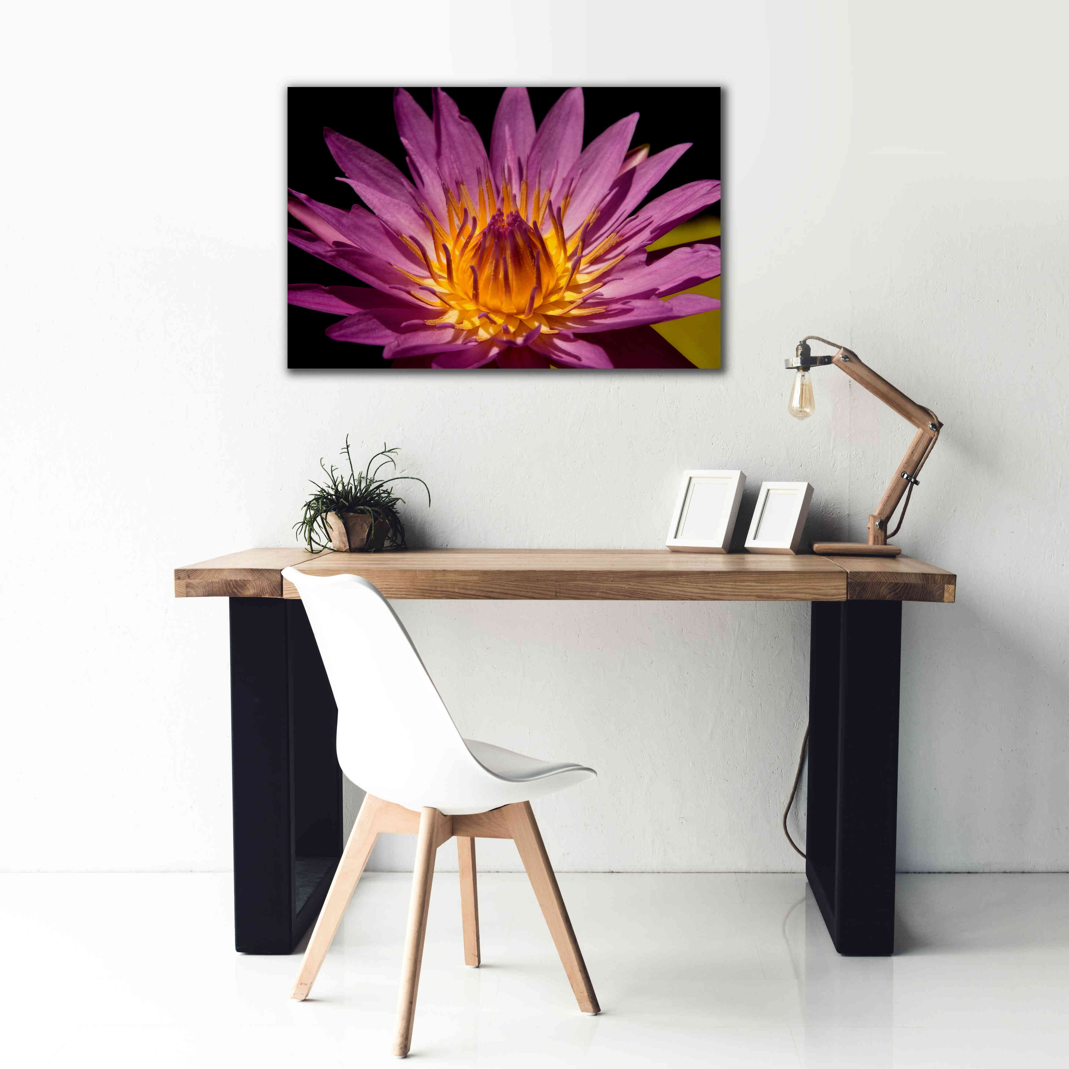 'Fairchild Gardens Lily' by Mike Jones, Giclee Canvas Wall Art,40 x 26