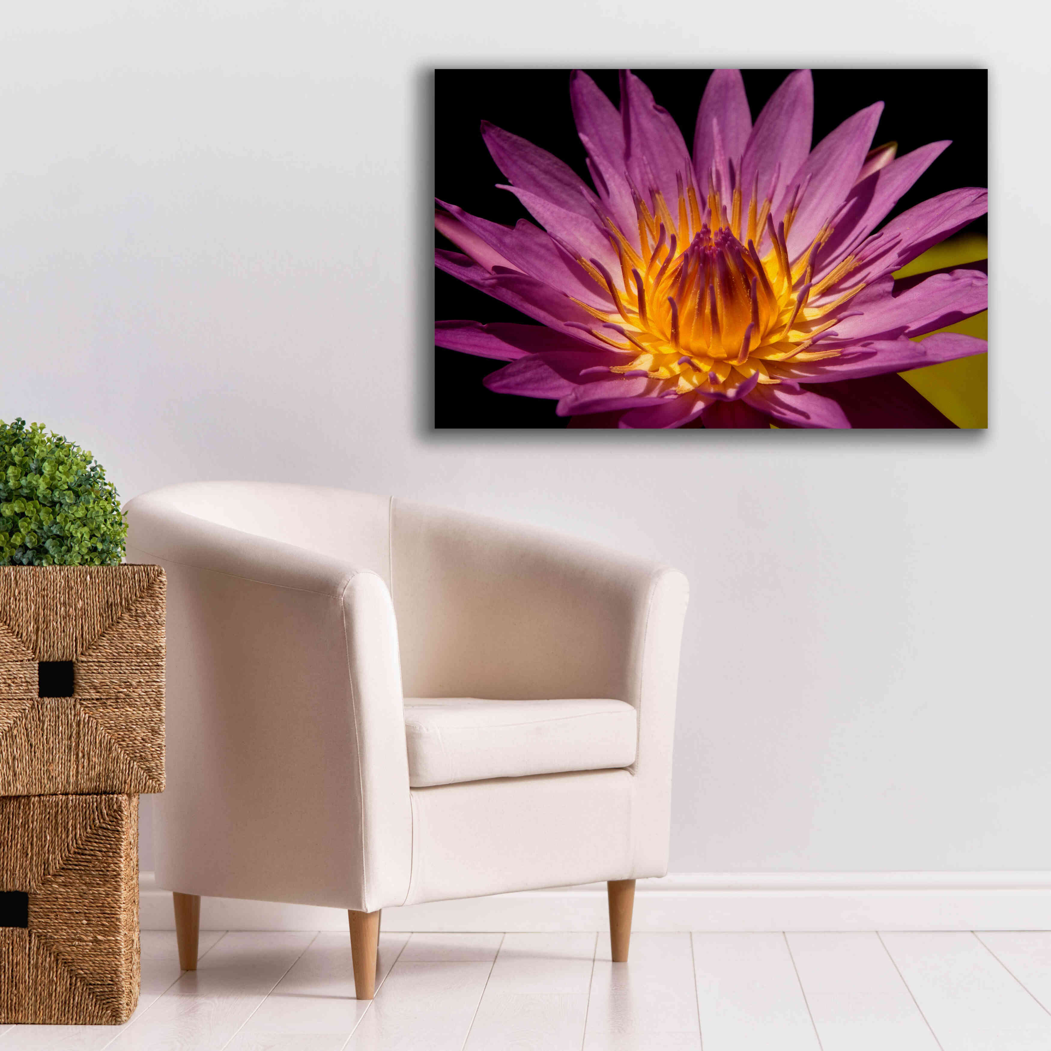 'Fairchild Gardens Lily' by Mike Jones, Giclee Canvas Wall Art,40 x 26