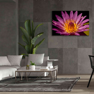 'Fairchild Gardens Lily' by Mike Jones, Giclee Canvas Wall Art,60 x 40