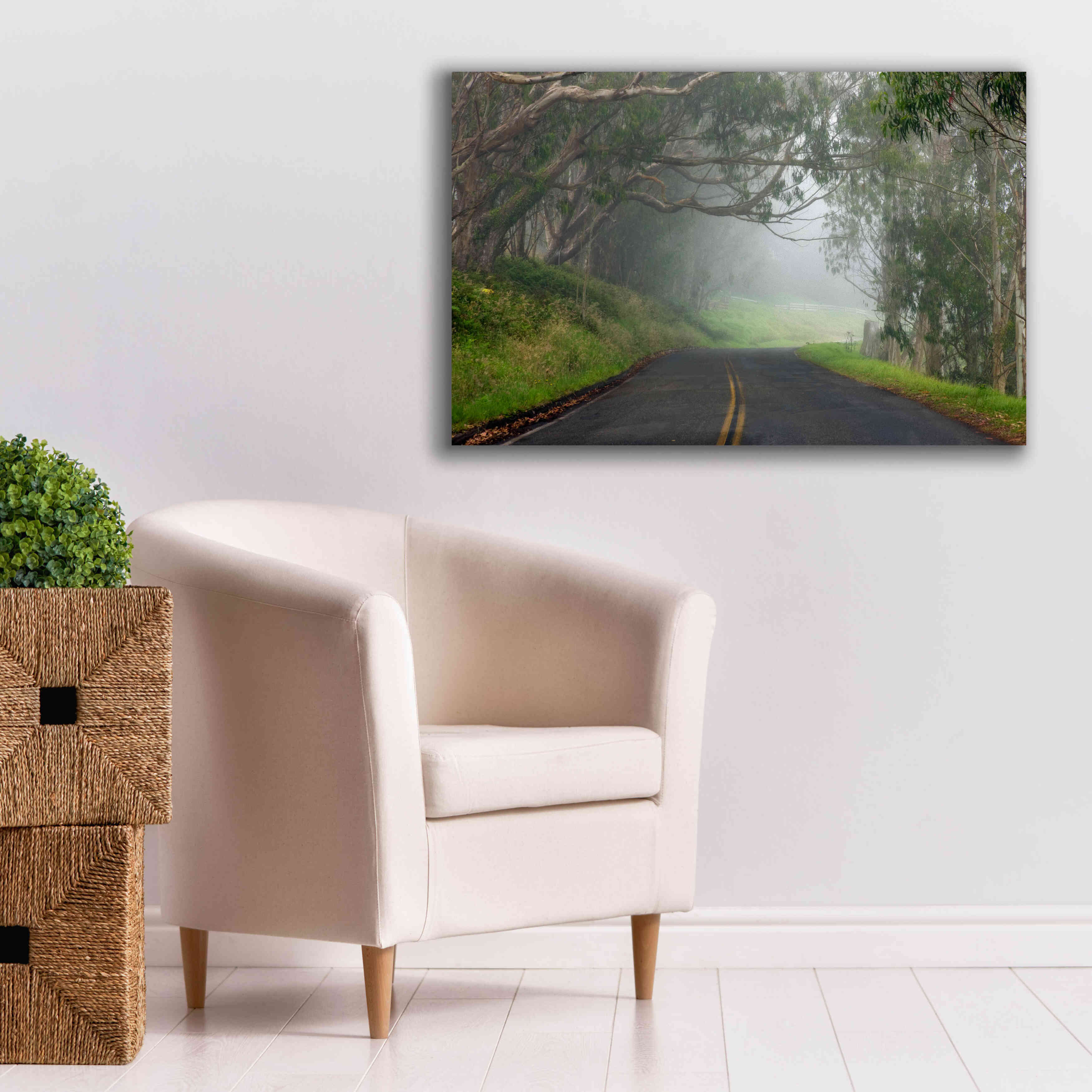 'Foggy Road near Dillon Beach' by Mike Jones, Giclee Canvas Wall Art,40 x 26