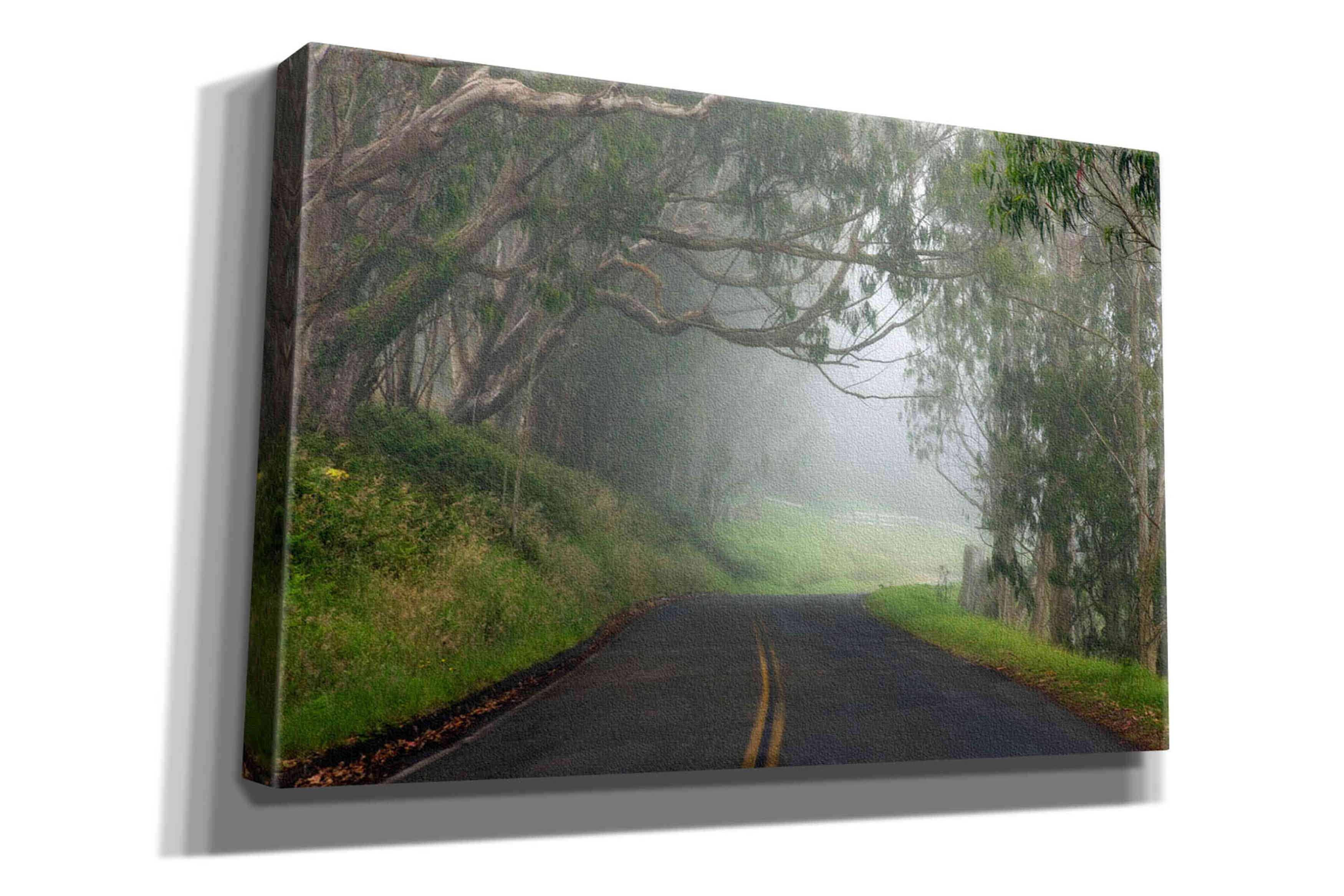 'Foggy Road near Dillon Beach' by Mike Jones, Giclee Canvas Wall Art