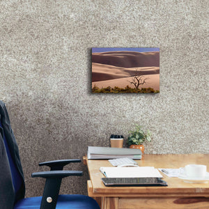 'Great Sand Dunes NP Tree' by Mike Jones, Giclee Canvas Wall Art,18 x 12