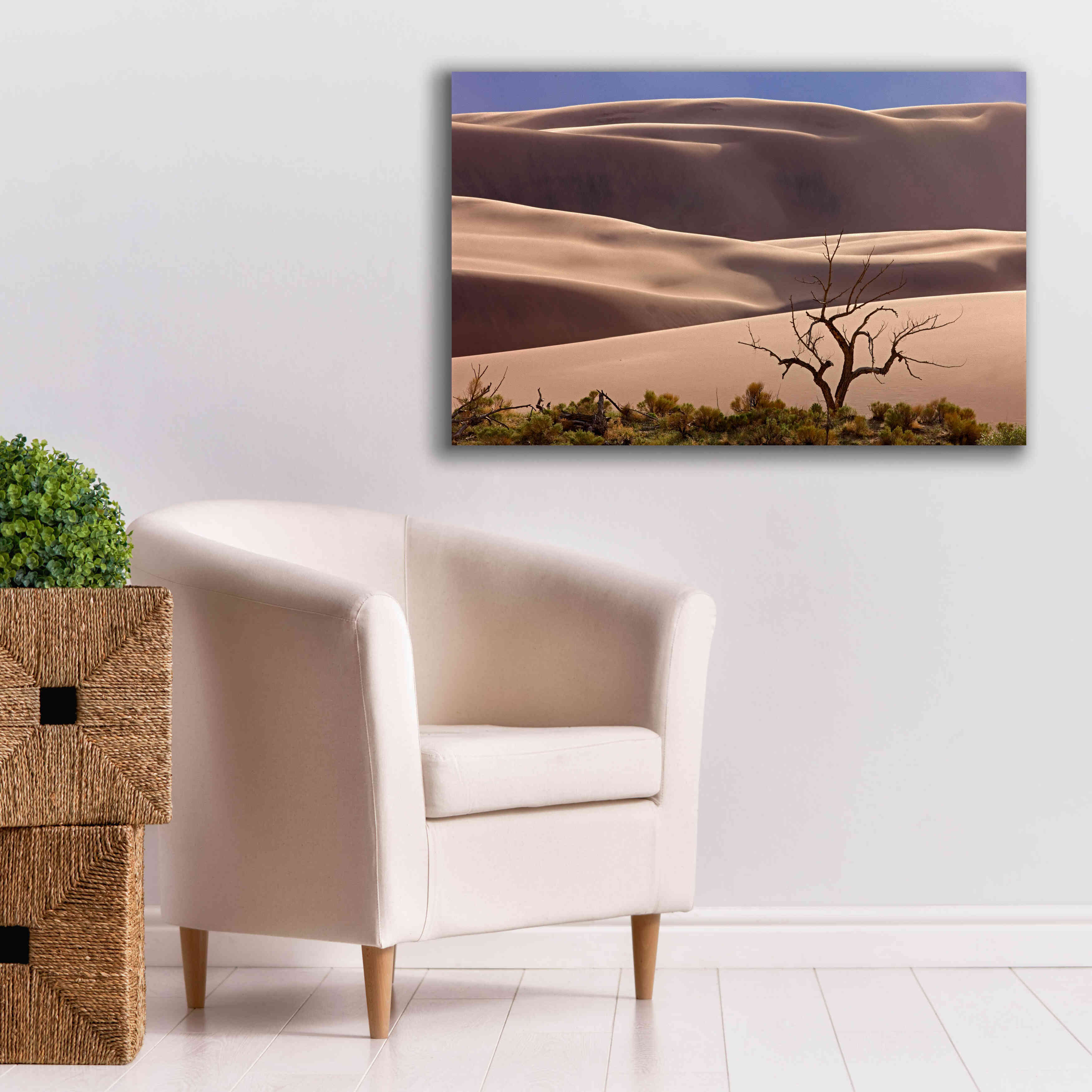'Great Sand Dunes NP Tree' by Mike Jones, Giclee Canvas Wall Art,40 x 26