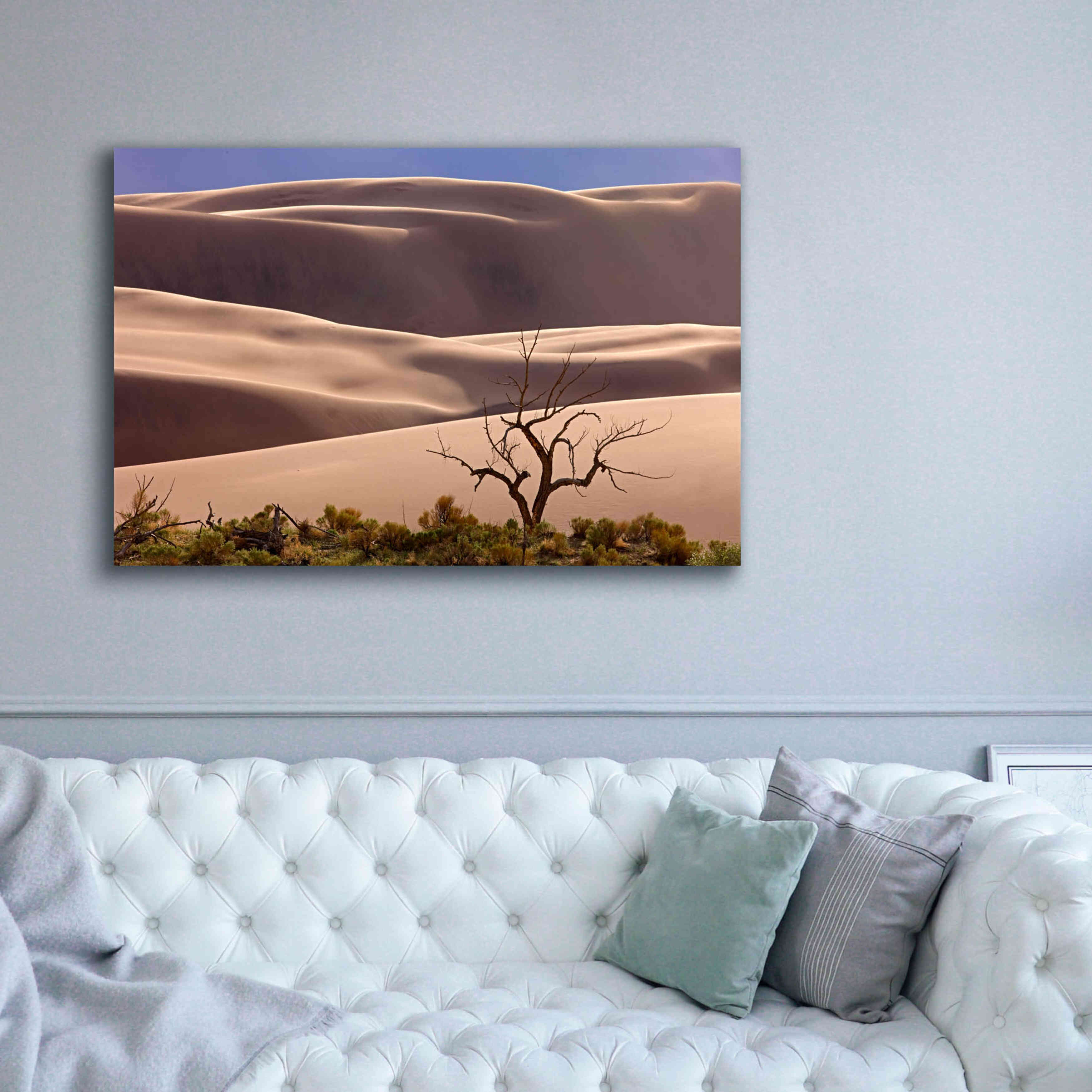 'Great Sand Dunes NP Tree' by Mike Jones, Giclee Canvas Wall Art,60 x 40