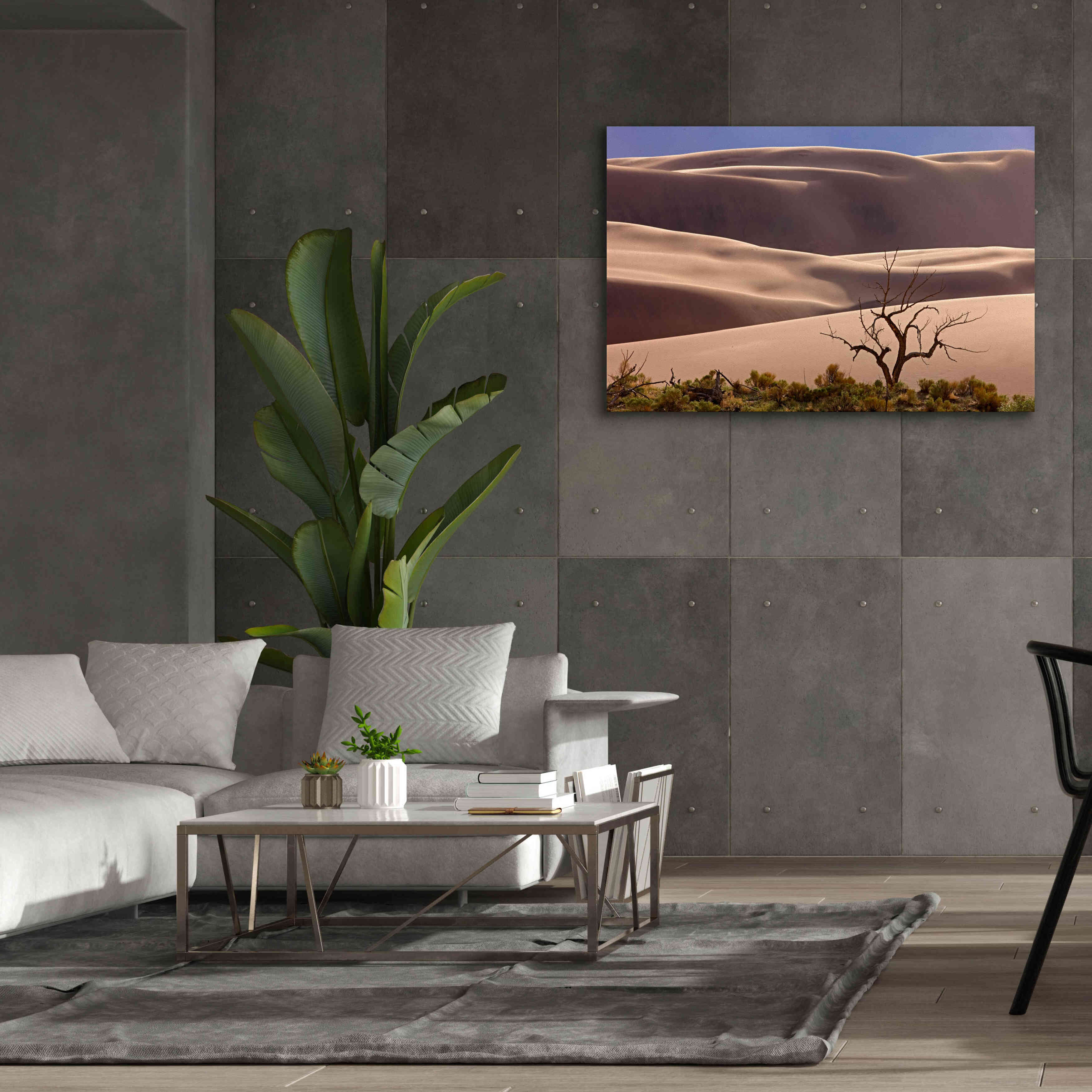 'Great Sand Dunes NP Tree' by Mike Jones, Giclee Canvas Wall Art,60 x 40