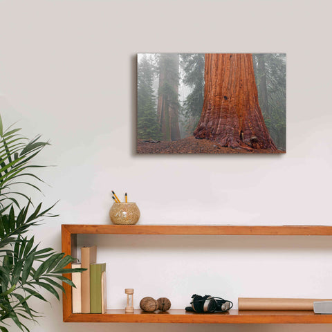 Image of 'Kings Canyon' by Mike Jones, Giclee Canvas Wall Art,18 x 12