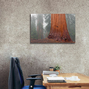 'Kings Canyon' by Mike Jones, Giclee Canvas Wall Art,40 x 26
