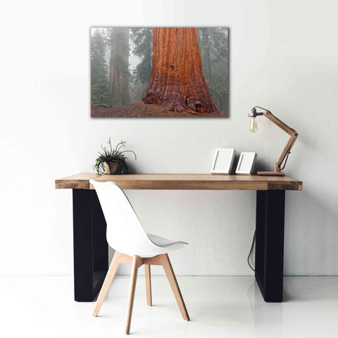 Image of 'Kings Canyon' by Mike Jones, Giclee Canvas Wall Art,40 x 26