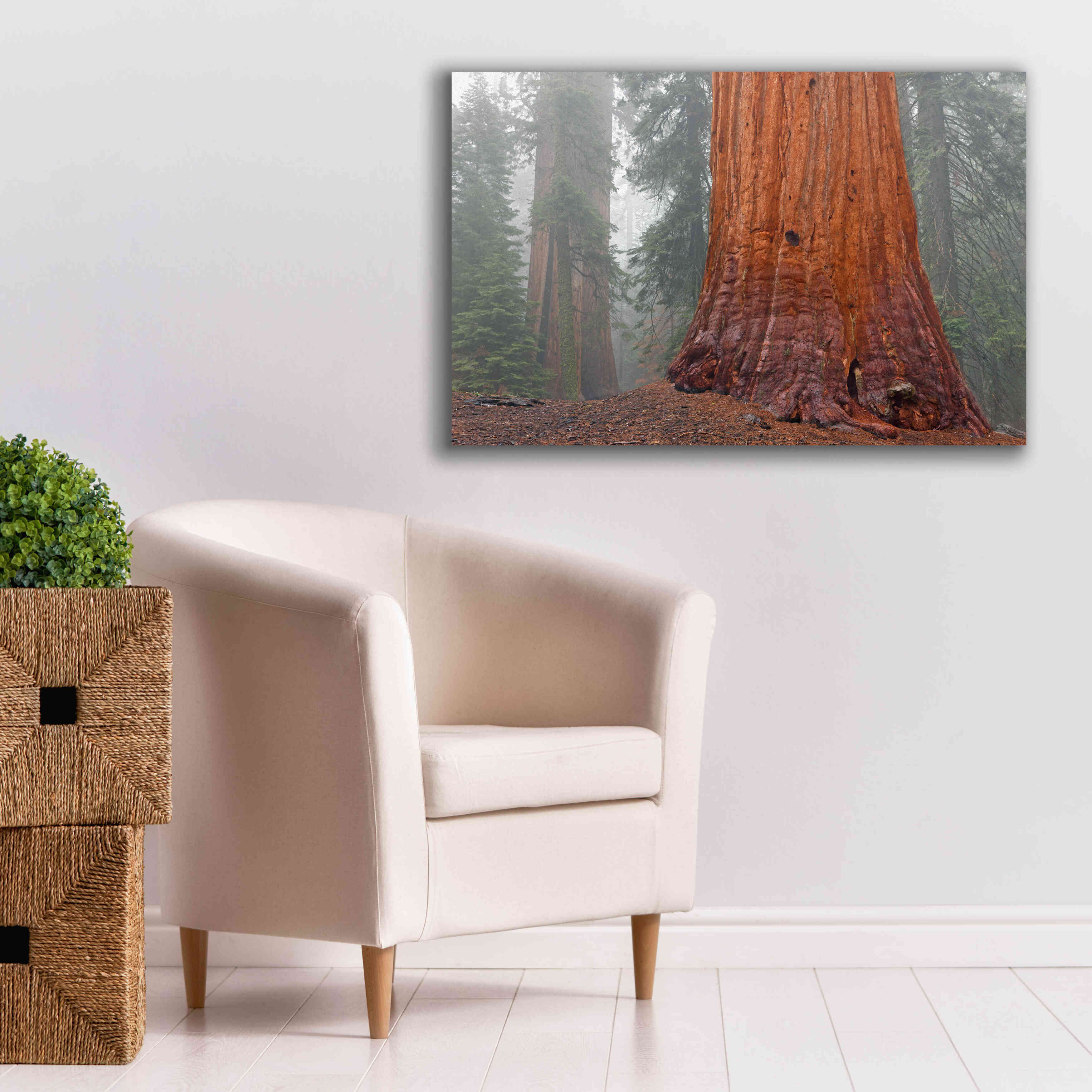 'Kings Canyon' by Mike Jones, Giclee Canvas Wall Art,40 x 26