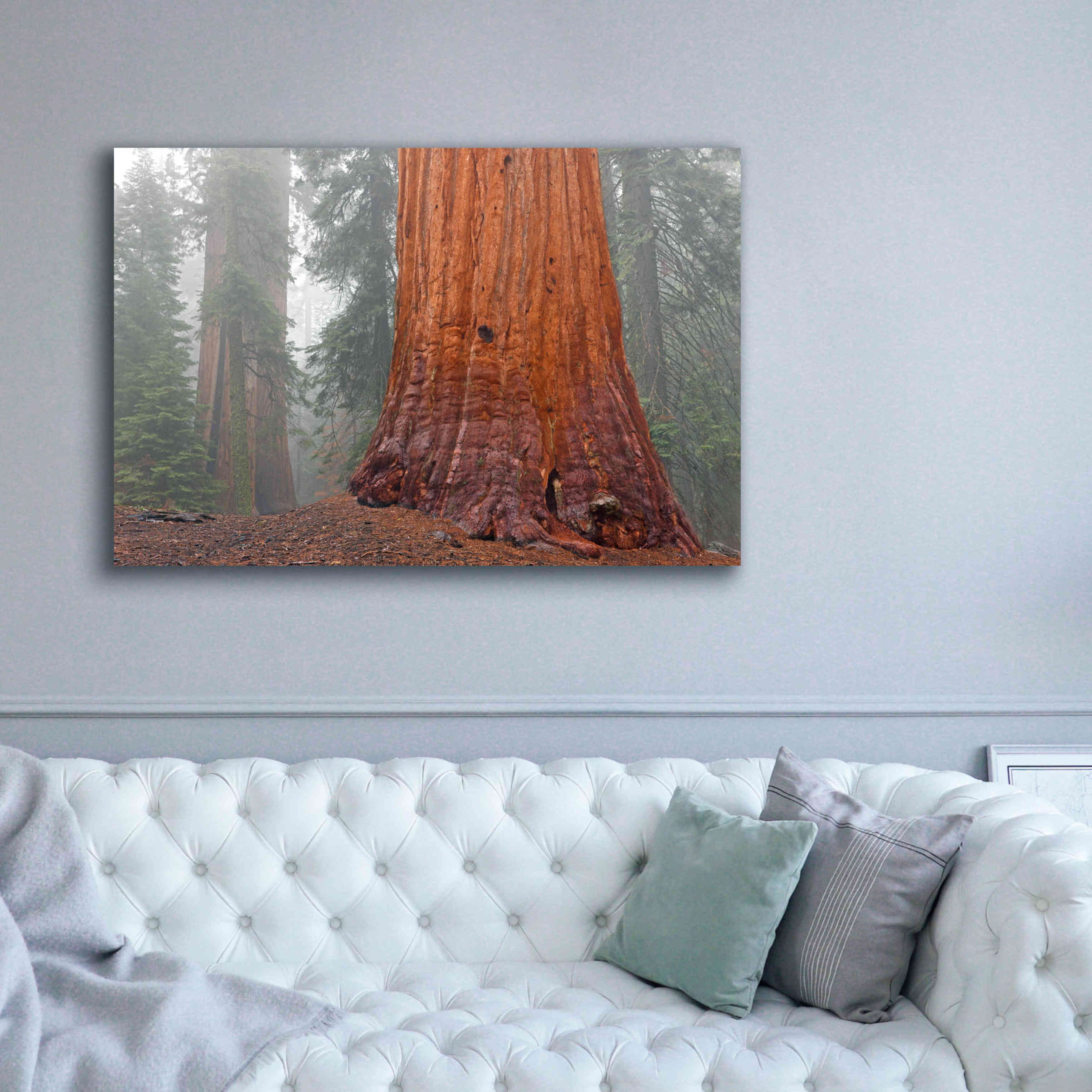 'Kings Canyon' by Mike Jones, Giclee Canvas Wall Art,60 x 40