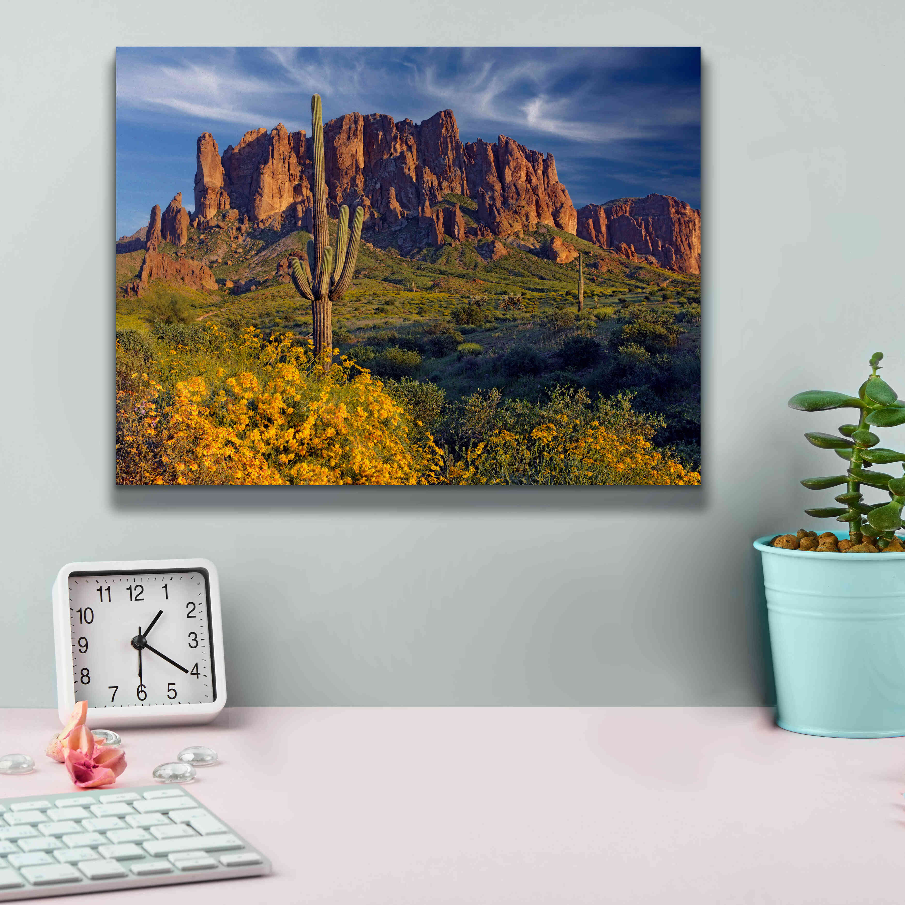'Lost Dutchman flowers' by Mike Jones, Giclee Canvas Wall Art,16 x 12