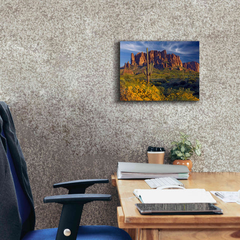 Image of 'Lost Dutchman flowers' by Mike Jones, Giclee Canvas Wall Art,16 x 12