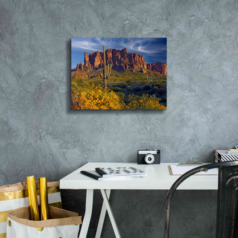 Image of 'Lost Dutchman flowers' by Mike Jones, Giclee Canvas Wall Art,16 x 12