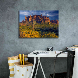 'Lost Dutchman flowers' by Mike Jones, Giclee Canvas Wall Art,26 x 18