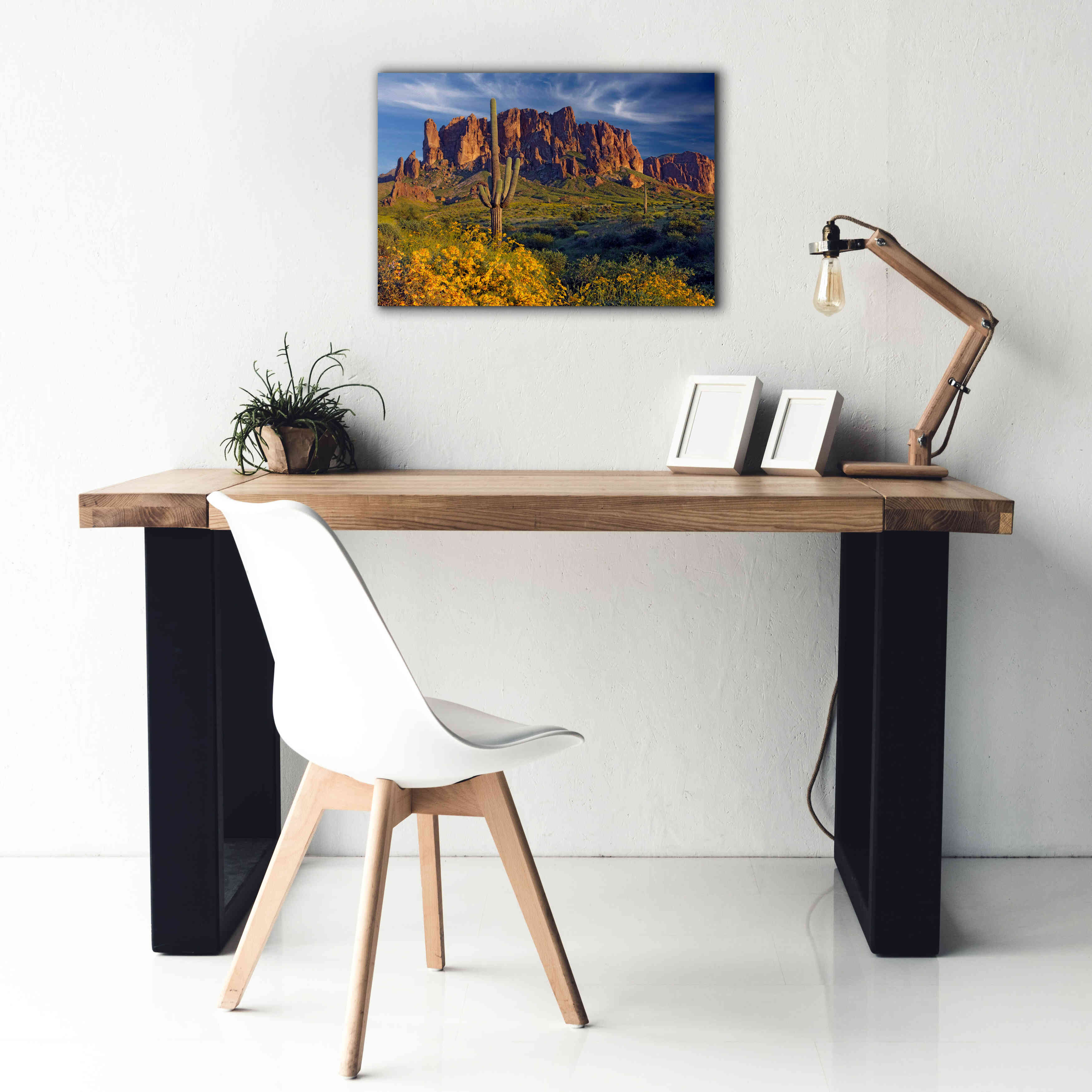 'Lost Dutchman flowers' by Mike Jones, Giclee Canvas Wall Art,26 x 18