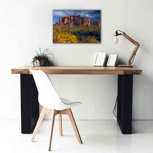 'Lost Dutchman flowers' by Mike Jones, Giclee Canvas Wall Art,26 x 18