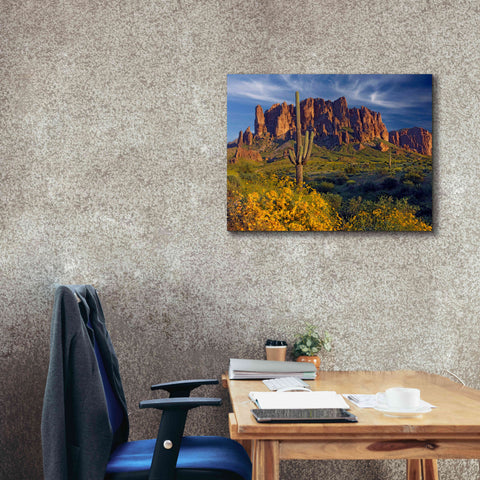 Image of 'Lost Dutchman flowers' by Mike Jones, Giclee Canvas Wall Art,34 x 26