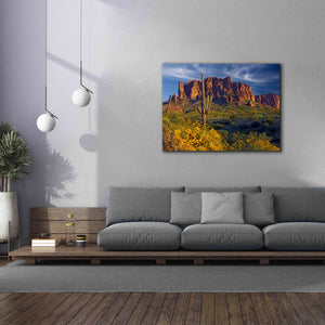 'Lost Dutchman flowers' by Mike Jones, Giclee Canvas Wall Art,54 x 40