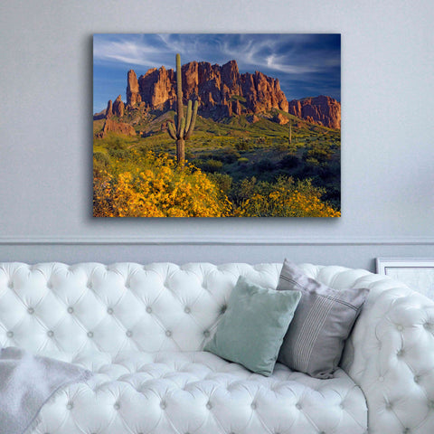 Image of 'Lost Dutchman flowers' by Mike Jones, Giclee Canvas Wall Art,54 x 40