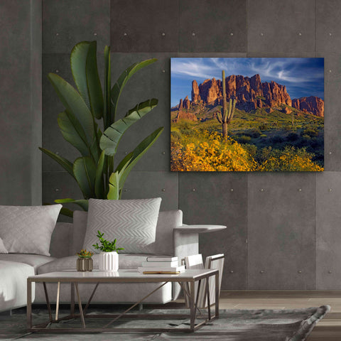 Image of 'Lost Dutchman flowers' by Mike Jones, Giclee Canvas Wall Art,54 x 40