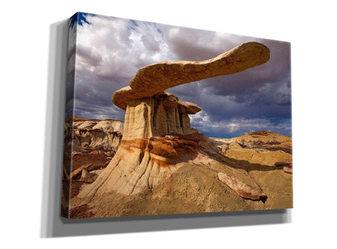 Image of 'NM Ahshislepah King Of Wings' by Mike Jones, Giclee Canvas Wall Art