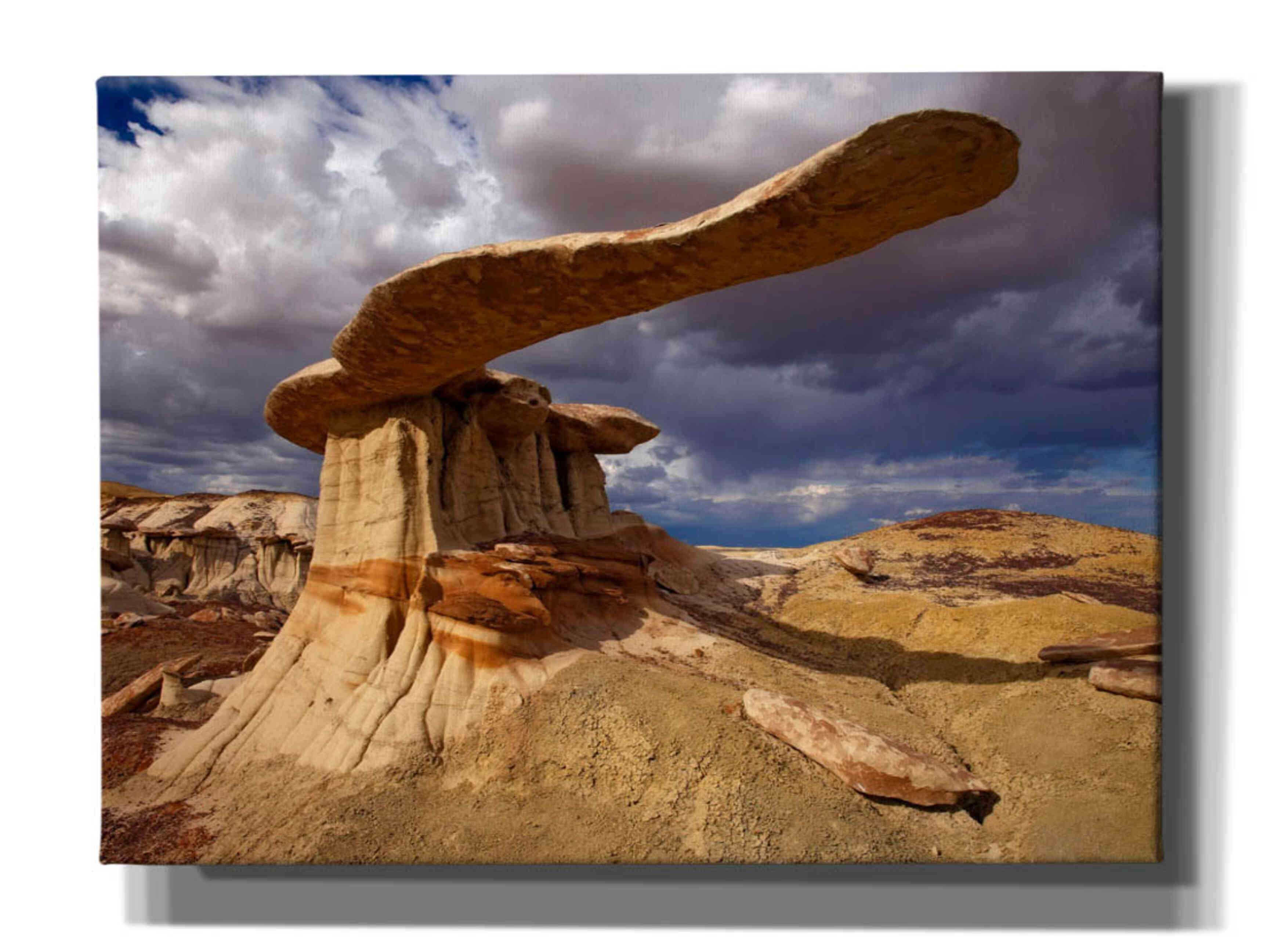 'NM Ahshislepah King Of Wings' by Mike Jones, Giclee Canvas Wall Art