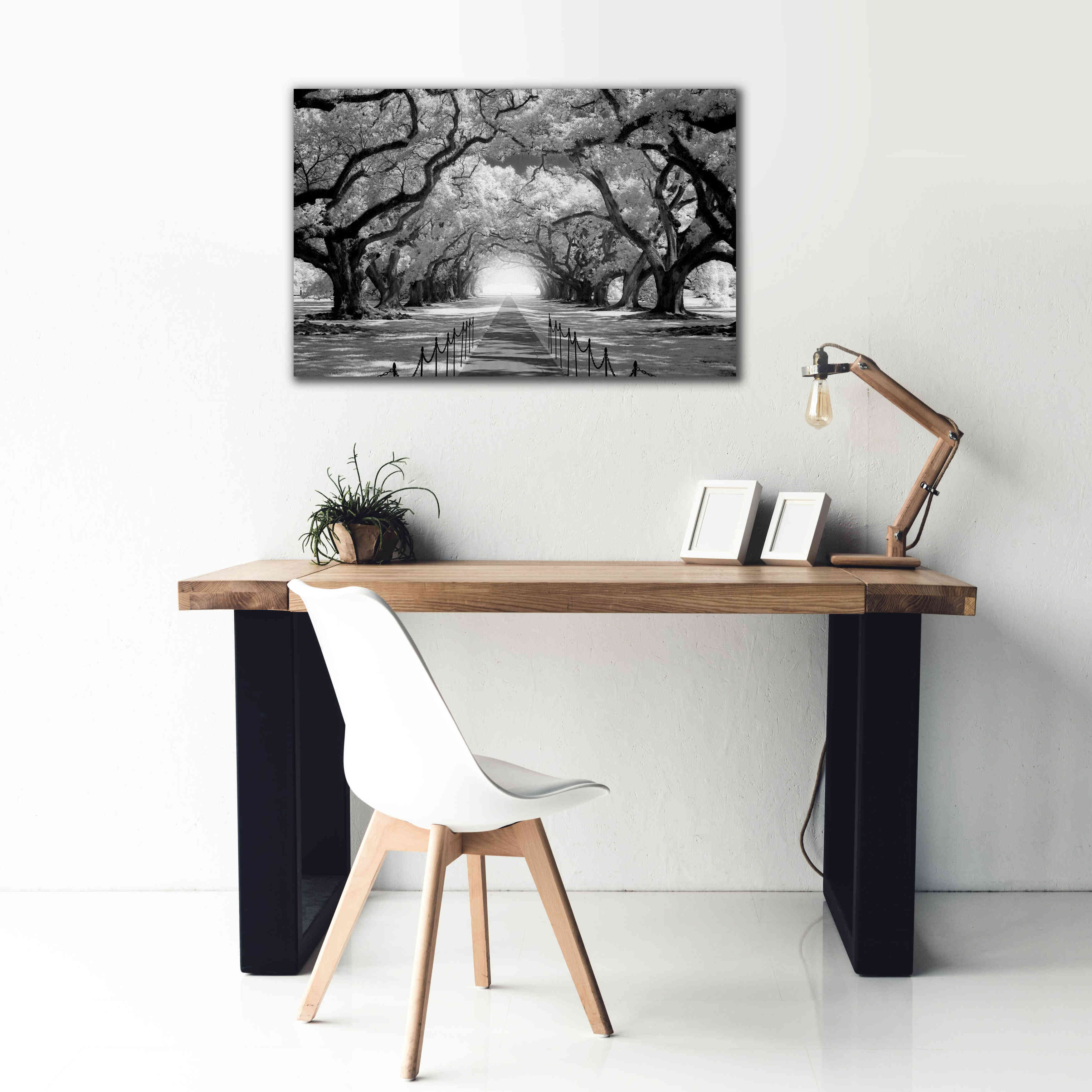 'Oak Alley inf CHECK' by Mike Jones, Giclee Canvas Wall Art,40 x 26