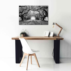 'Oak Alley inf CHECK' by Mike Jones, Giclee Canvas Wall Art,40 x 26