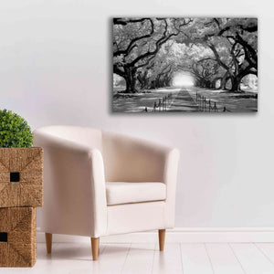 'Oak Alley inf CHECK' by Mike Jones, Giclee Canvas Wall Art,40 x 26