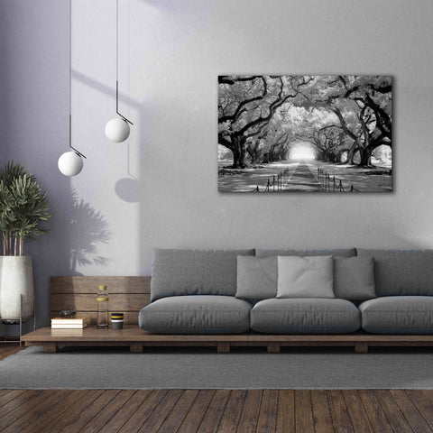 Image of 'Oak Alley inf CHECK' by Mike Jones, Giclee Canvas Wall Art,60 x 40
