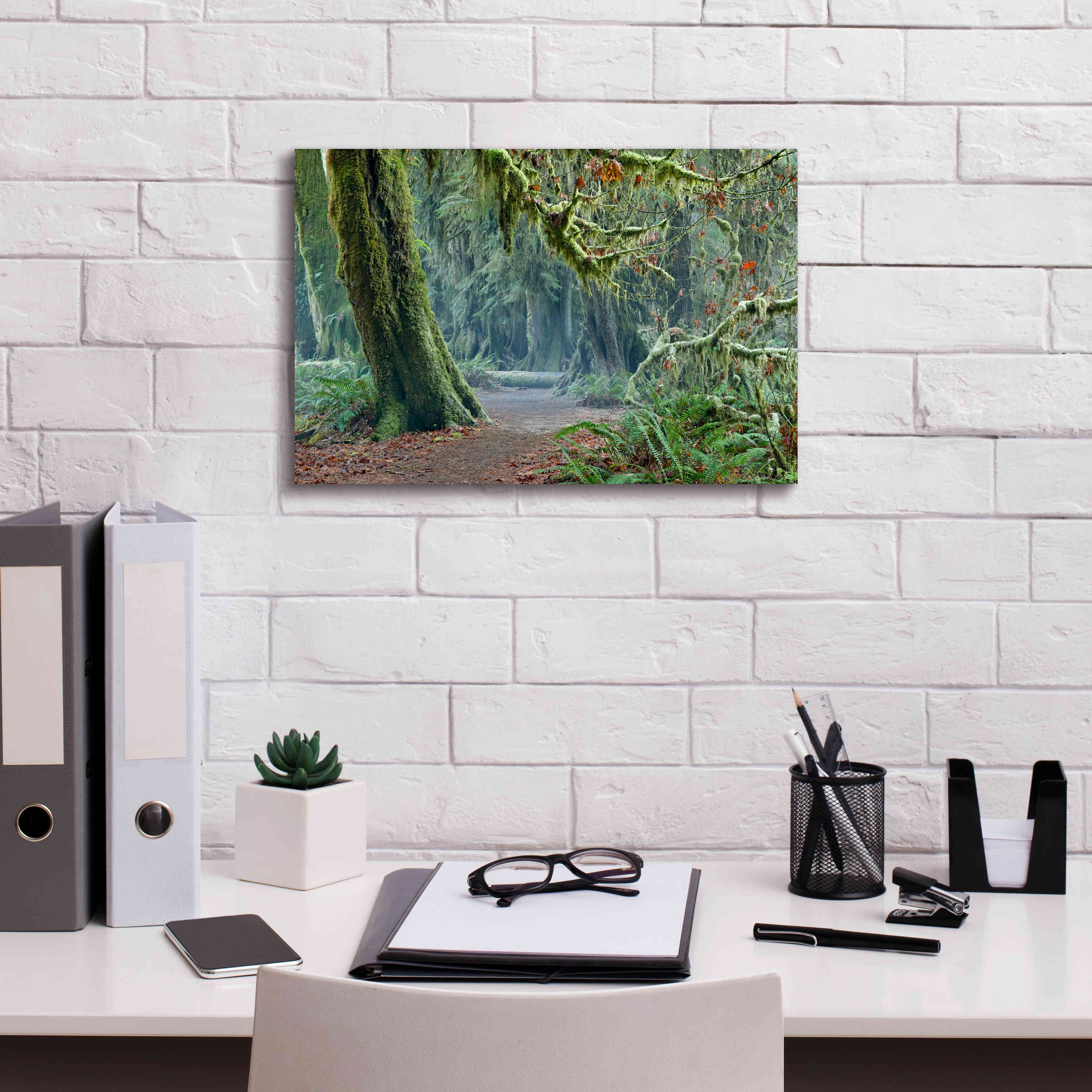 'Olympic NP Trail' by Mike Jones, Giclee Canvas Wall Art,18 x 12