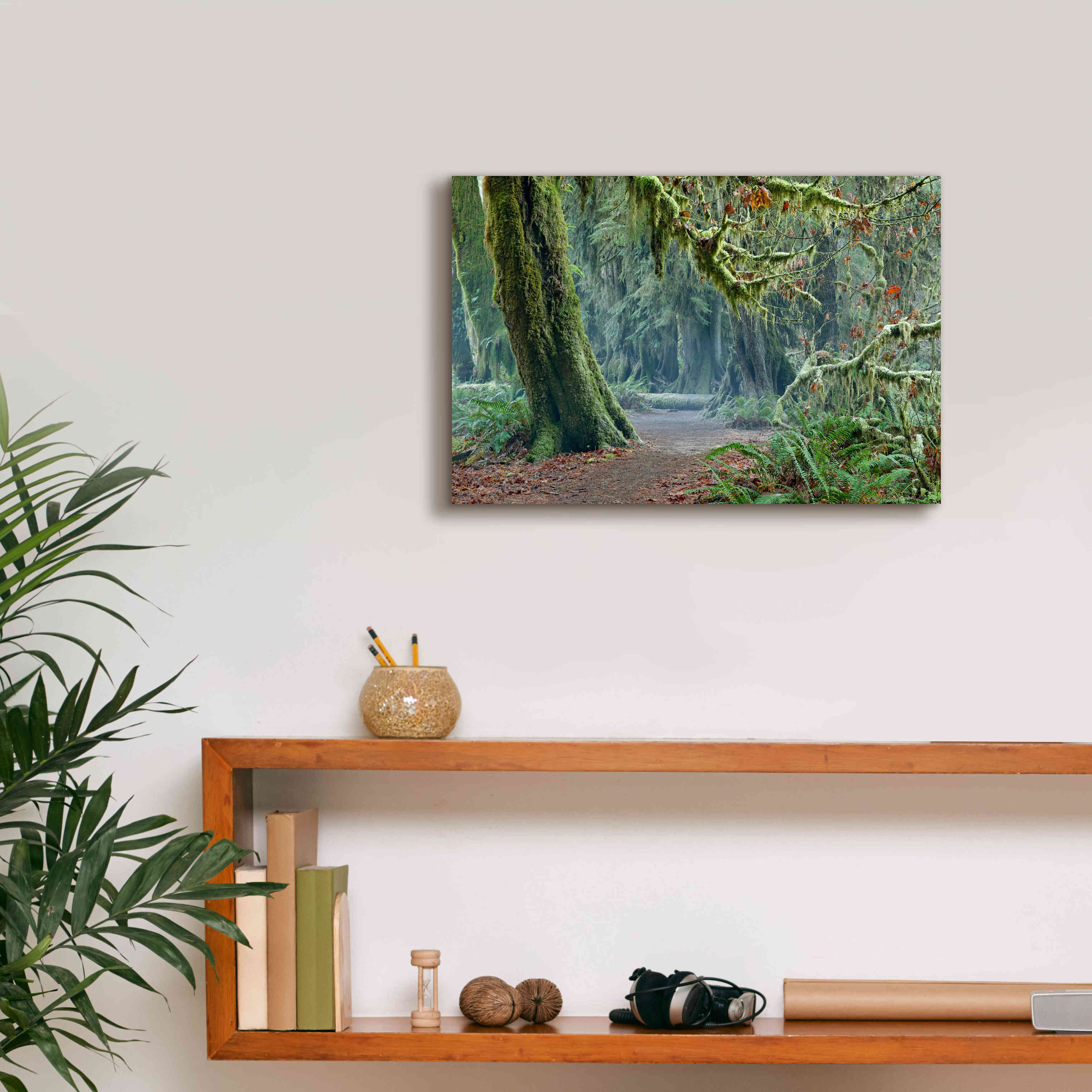'Olympic NP Trail' by Mike Jones, Giclee Canvas Wall Art,18 x 12